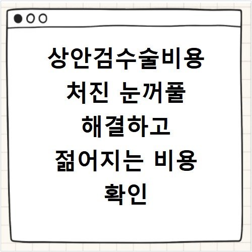 상안검수술비용 처진 눈꺼풀 해결하고 젊어지는 비용 확인
