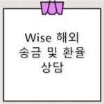 Wise 고객센터 전화번호 와이즈 해외 송금 환율