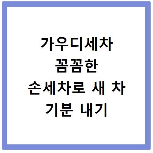 가우디세차 꼼꼼한 손세차로 새 차 기분 내기