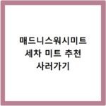 매드니스워시미트 세차 미트 추천 사러가기