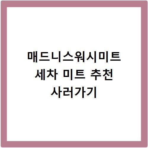 매드니스워시미트 세차 미트 추천 사러가기