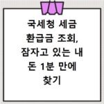 국세청 세금 환급금 조회, 잠자고 있는 내 돈 1분 만에 찾기