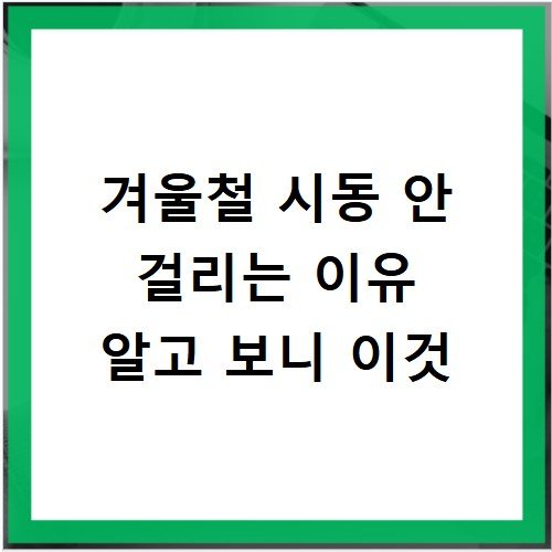 겨울철 시동 안 걸리는 이유 알고 보니 이것