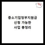 중소기업정부지원금 신청 가능한 사업 총정리