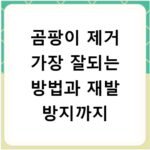 곰팡이 제거 가장 잘되는 방법과 재발 방지까지