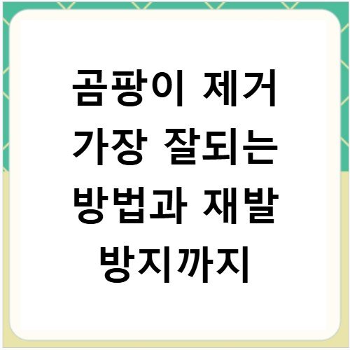 곰팡이 제거 가장 잘되는 방법과 재발 방지까지