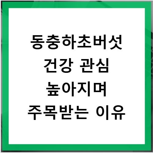 동충하초버섯 건강 관심 높아지며 주목받는 이유