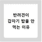 반려견이 갑자기 밥을 안 먹는 이유