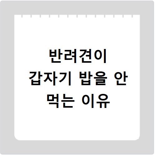 반려견이 갑자기 밥을 안 먹는 이유
