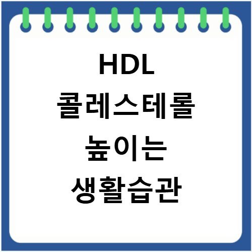 HDL 콜레스테롤 높이는 생활습관