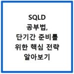 SQLD 공부법, 단기간 준비를 위한 핵심 전략 알아보기