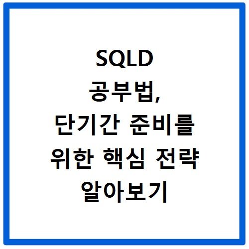 SQLD 공부법, 단기간 준비를 위한 핵심 전략 알아보기
